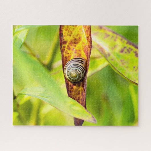 Puzzle fixation calme (Horizontal)