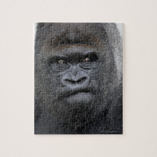 Puzzle Flachlandgorilla, Gorilla gorilla, (Vertical)