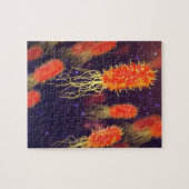 Puzzle Flagelles de bactéries (Horizontal)