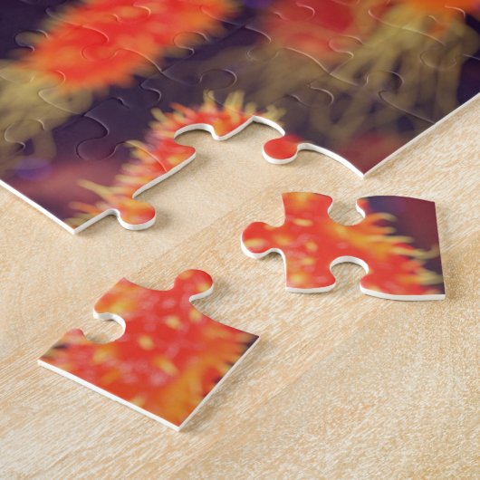 Puzzle Flagelles de bactéries (Côté)