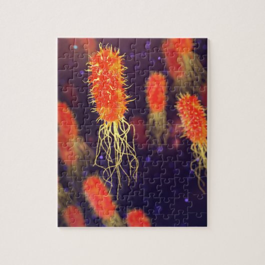 Puzzle Flagelles de bactéries (Vertical)