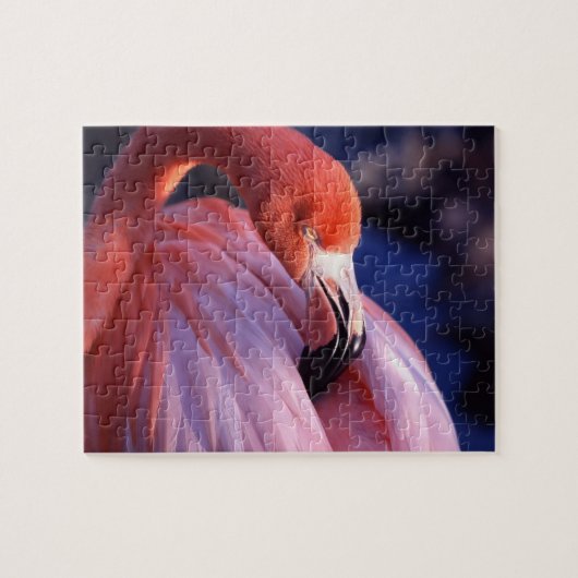 Puzzle Flamant rose (Horizontal)