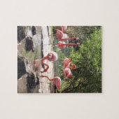 Puzzle Flamant rose (Horizontal)
