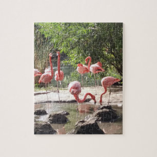 Puzzle Flamant rose
