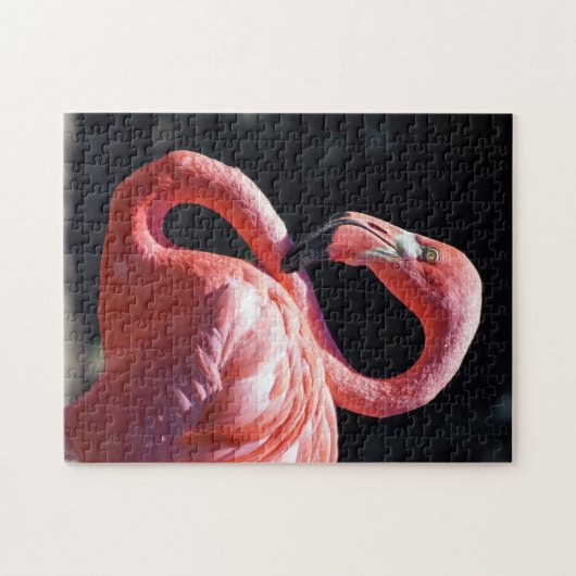 Puzzle Flamant rose (Horizontal)