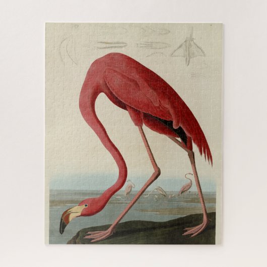 Puzzle Flamant rose américain d'Audubon's Birds of Americ (Vertical)