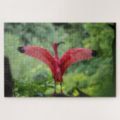 Puzzle Flamant rose de 1000 pièces (Horizontal)