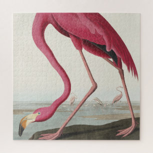 Puzzle Flamant rose de Birds of America