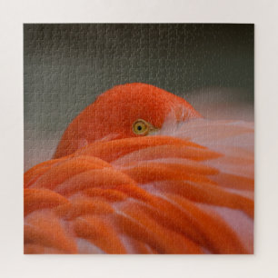 Puzzle Flamant rose de Pékin