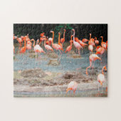 Puzzle Flamant rose Pond Singapour. (Horizontal)