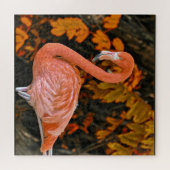 Puzzle Flamant rose, proche et beau (Horizontal)