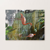 Puzzle Flamant rose rose (Horizontal)