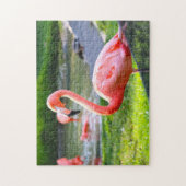 Puzzle Flamant rose rose Californie. (Vertical)