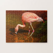 Puzzle Flamant rose rose Floride. (Horizontal)
