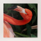 Puzzle Flamant rose rose vif (Horizontal)