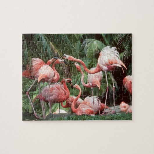 Puzzle Flamants roses (Horizontal)