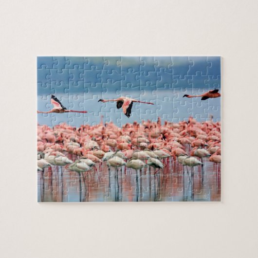 Puzzle Flamants roses (Horizontal)