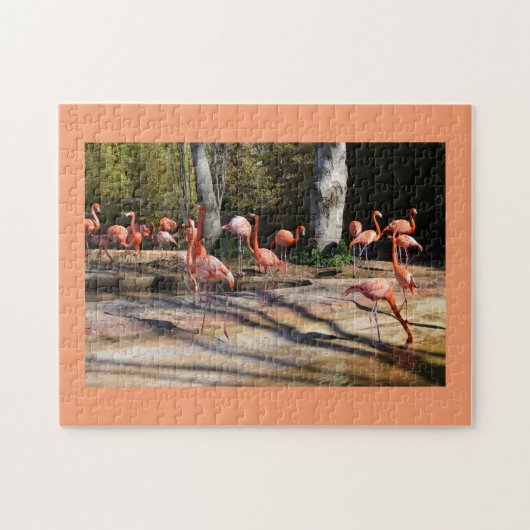 Puzzle Flamants roses (Horizontal)