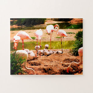 Puzzle Flamants roses et poussins