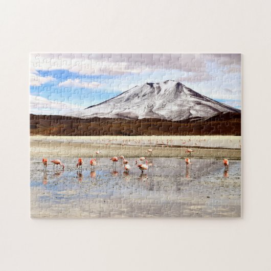 Puzzle Flamants roses roses dans les Andes (Horizontal)