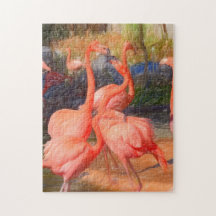 Flamingos drawing colorful