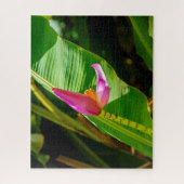 Puzzle Fleur banane, Limahuli Gardens, Kauai, Hawaii (Vertical)