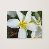 Puzzle Fleur blanche de Plumeria d'Hawaï (Horizontal)