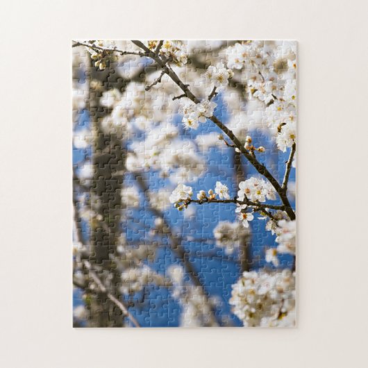 Puzzle Fleur blanche fond de ciel bleu (Vertical)