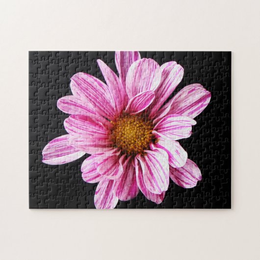 Puzzle Fleur Chrysanthemum 11x14 252pc jpcnm (Horizontal)