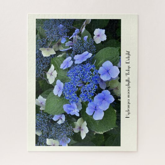 Puzzle Fleur Collable Blue Hydrangea (Vertical)