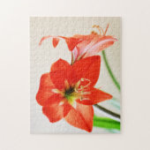 Puzzle Fleur d'Amaryllis rouge (Vertical)