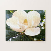 Puzzle Fleur d'arbre botanique en fleurs de Magnolia (Horizontal)