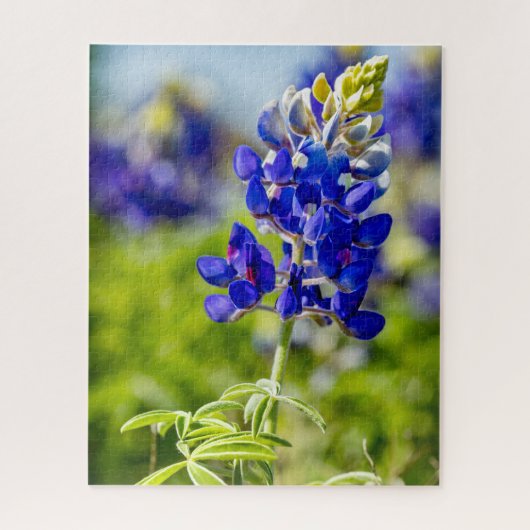 Puzzle Fleur de Bluebonnet du Texas (Vertical)