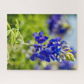 Puzzle Fleur de Bluebonnet du Texas (Horizontal)