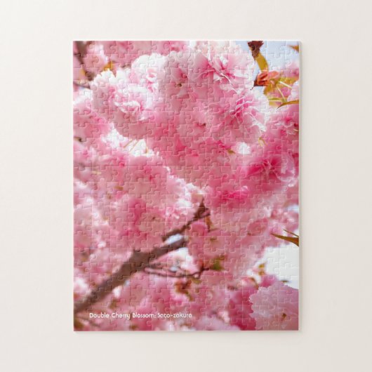 Puzzle Fleur de cerise double : Sato-zakura (Vertical)