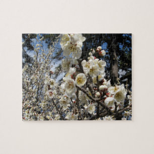 Puzzle Fleur de cerisier blanc / Sakura / ク(桜)
