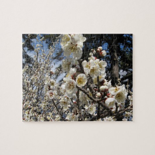 Puzzle Fleur de cerisier blanc / Sakura / ク(桜) (Horizontal)