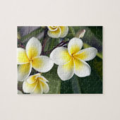 Puzzle Fleur de frangipanier Îles Cook (Horizontal)