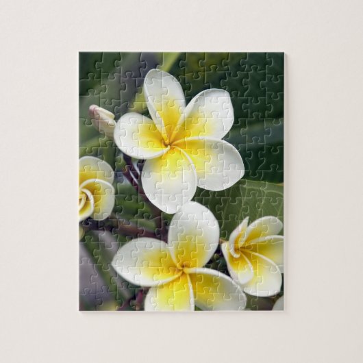 Puzzle Fleur de frangipanier Îles Cook (Vertical)