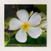Puzzle Fleur de la Plumeria avec Feuilles (Horizontal)