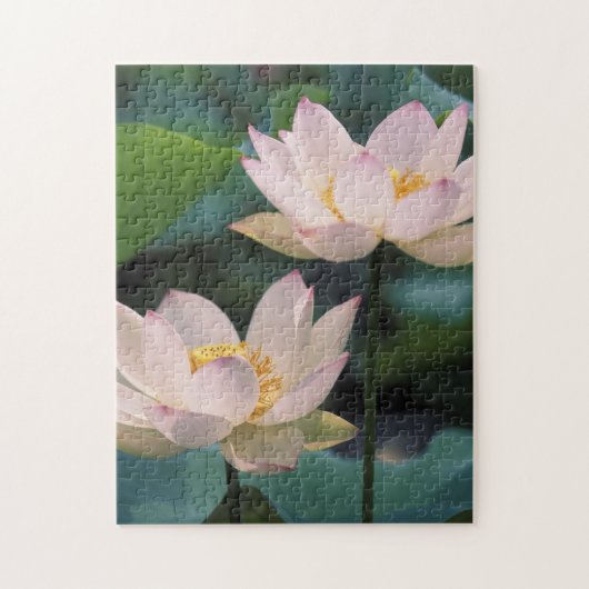Puzzle Fleur de lotus en fleurs, Chine (Vertical)