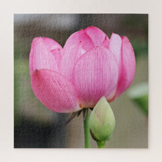 Puzzle Fleur de Lotus rose (Vertical)
