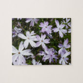 Puzzle Fleur de Phlox (Horizontal)