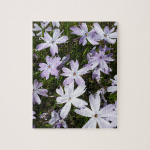 Puzzle Fleur de Phlox