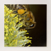 Puzzle Fleur de pollinisation des abeilles (Horizontal)