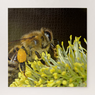 Puzzle Fleur de pollinisation des abeilles
