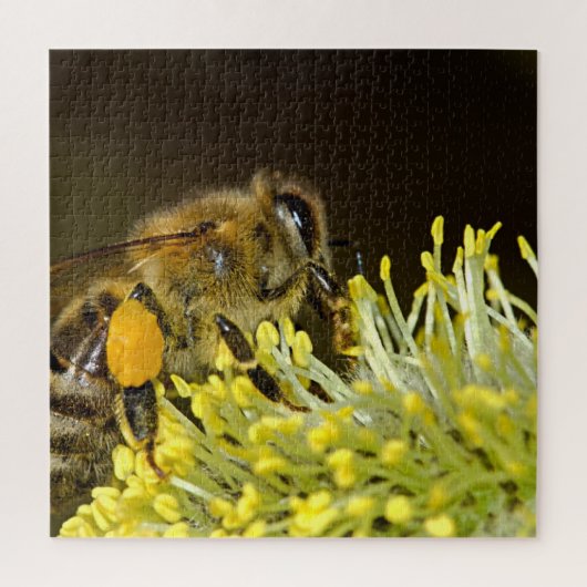 Puzzle Fleur de pollinisation des abeilles (Vertical)