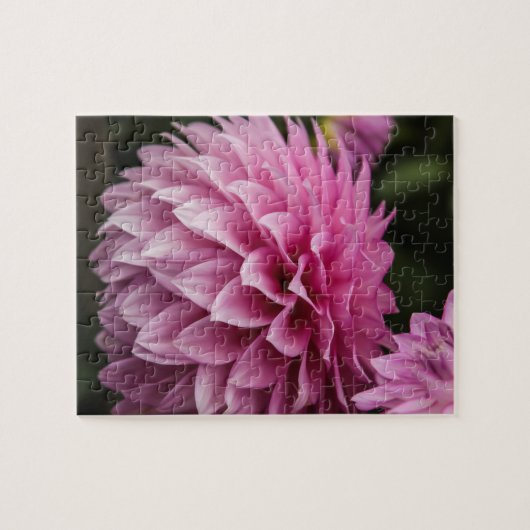 Puzzle Fleur de printemps Dahlia (Horizontal)