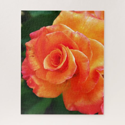 Puzzle Fleur de rose orange (Vertical)