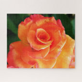 Puzzle Fleur de rose orange (Horizontal)